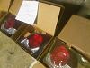 Zee 2012 4Sale MUST SEE HELP ME OUT-brampton2012010200026-jpg