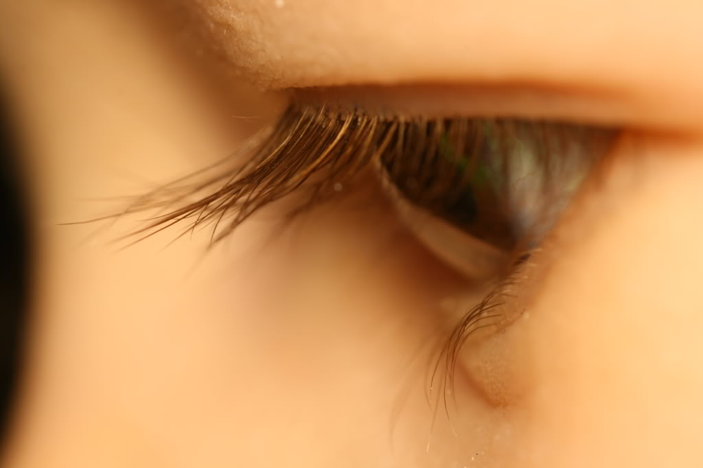 Name:  Picture153.jpg
Views: 76
Size:  44.0 KB