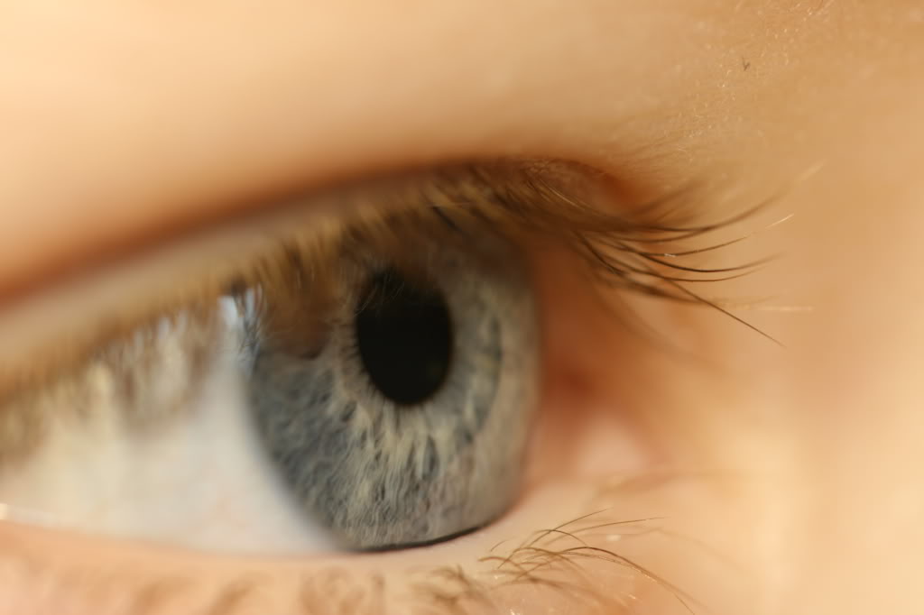 Name:  Picture258.jpg
Views: 70
Size:  43.7 KB