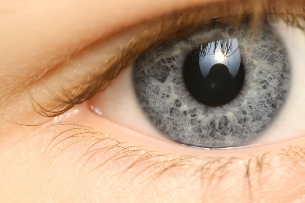 Name:  Picture154.jpg
Views: 70
Size:  71.9 KB