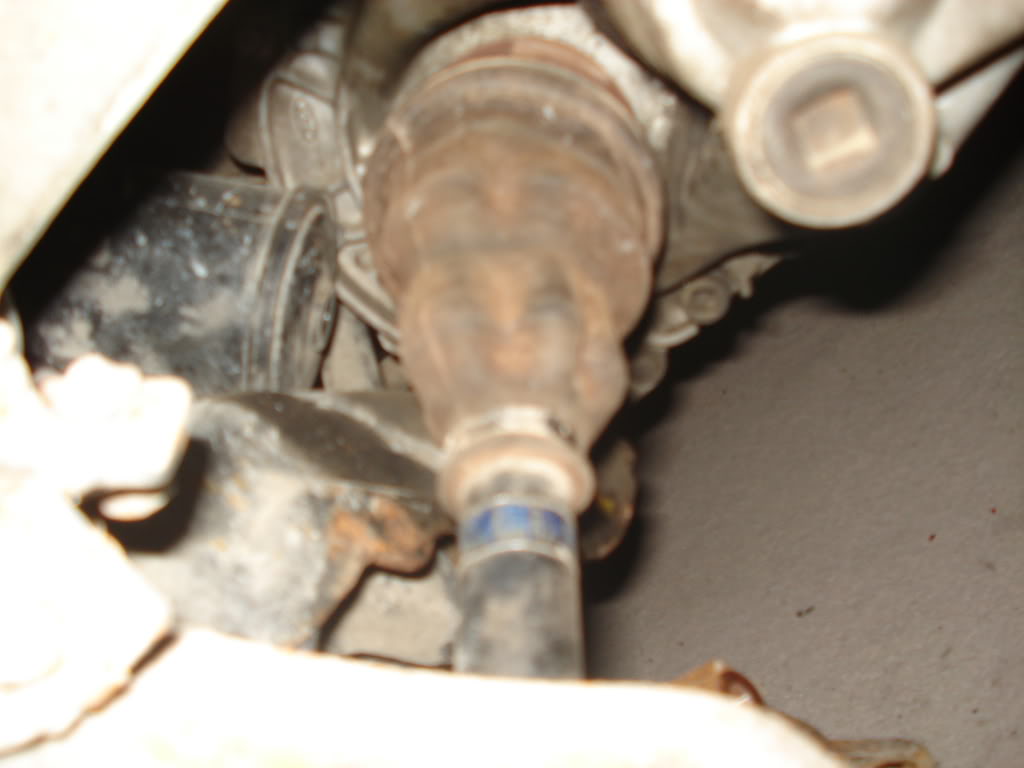 Name:  DSC01092.jpg
Views: 82
Size:  59.3 KB