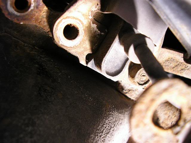 Name:  P1010043.jpg
Views: 670
Size:  39.4 KB