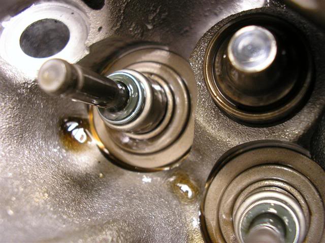 Name:  1010282.jpg
Views: 1148
Size:  56.0 KB