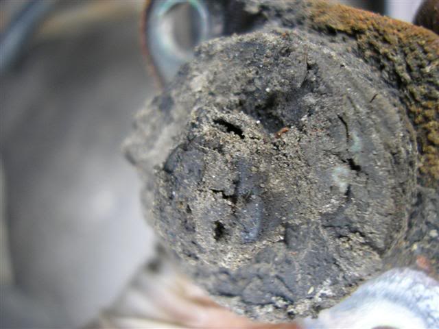 Name:  P1010011Small.jpg
Views: 756
Size:  42.2 KB