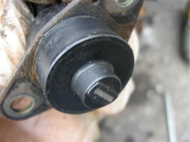 Name:  P1010013Small.jpg
Views: 233
Size:  28.1 KB