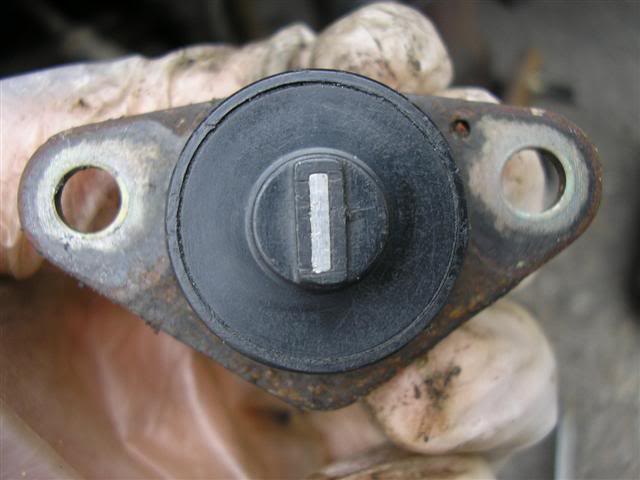 Name:  P1010012Small.jpg
Views: 191
Size:  33.1 KB