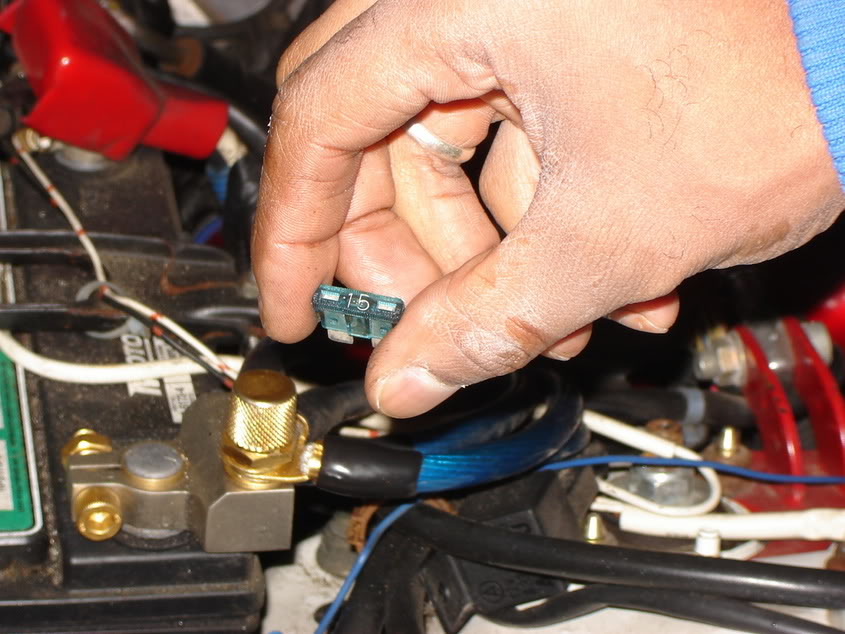 Name:  DSC00597.jpg
Views: 168
Size:  98.9 KB