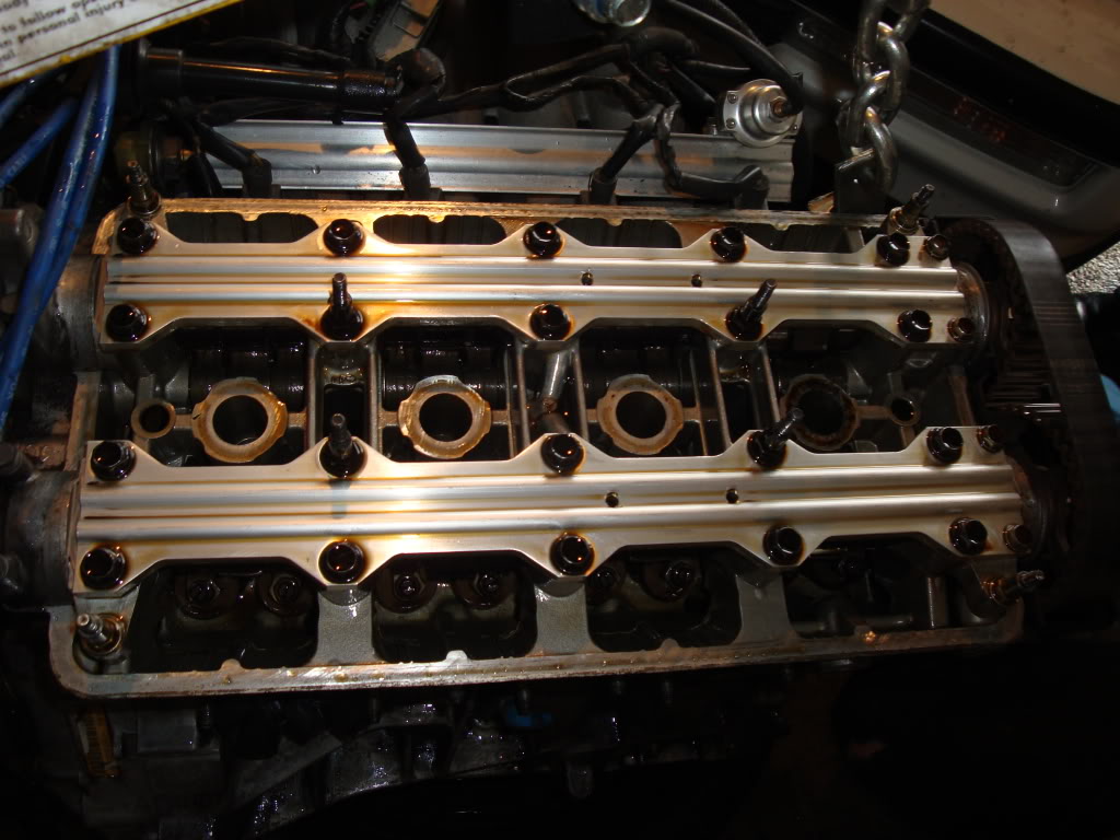 Name:  DSC01243.jpg
Views: 31
Size:  138.3 KB