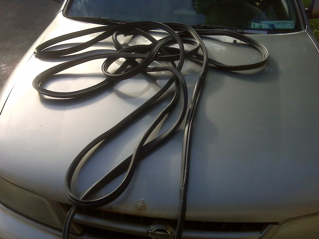 Name:  ImportedPhotos00027.jpg
Views: 22
Size:  84.5 KB