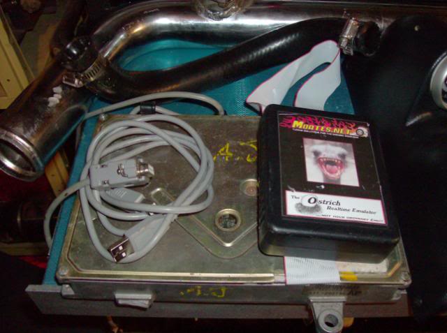 Name:  HPIM1118.jpg
Views: 19
Size:  45.9 KB