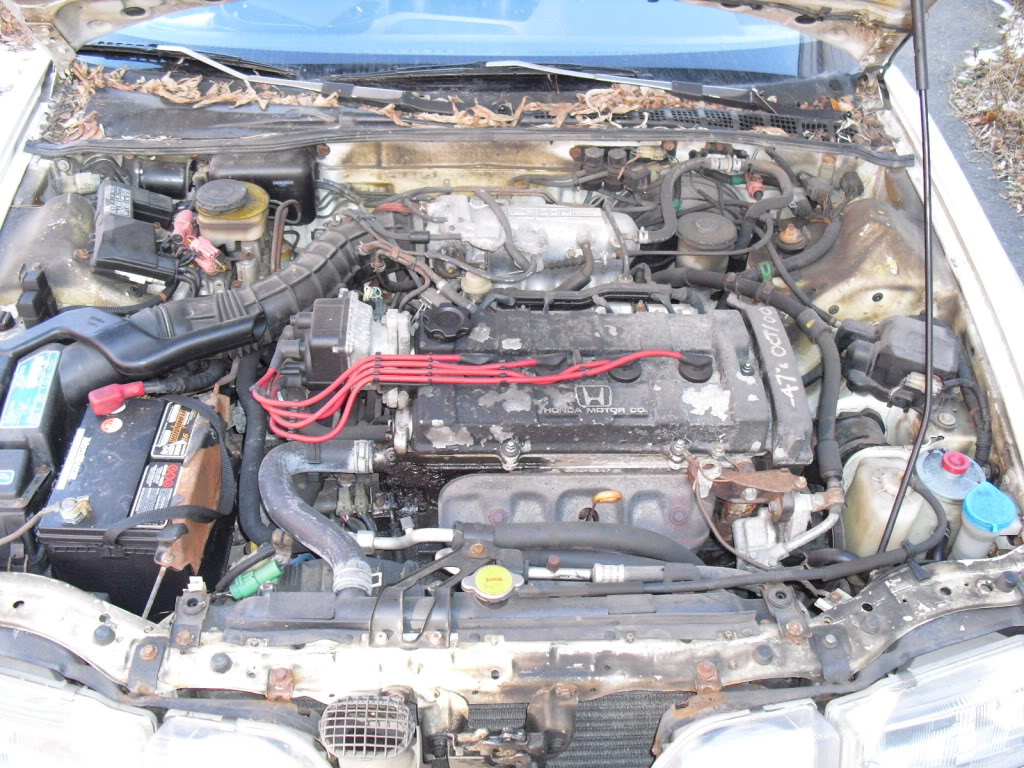 Name:  CIMG0543.jpg
Views: 24
Size:  247.8 KB