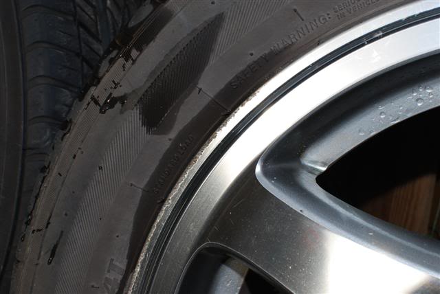 Name:  DSC_0246Small.jpg
Views: 10
Size:  32.7 KB