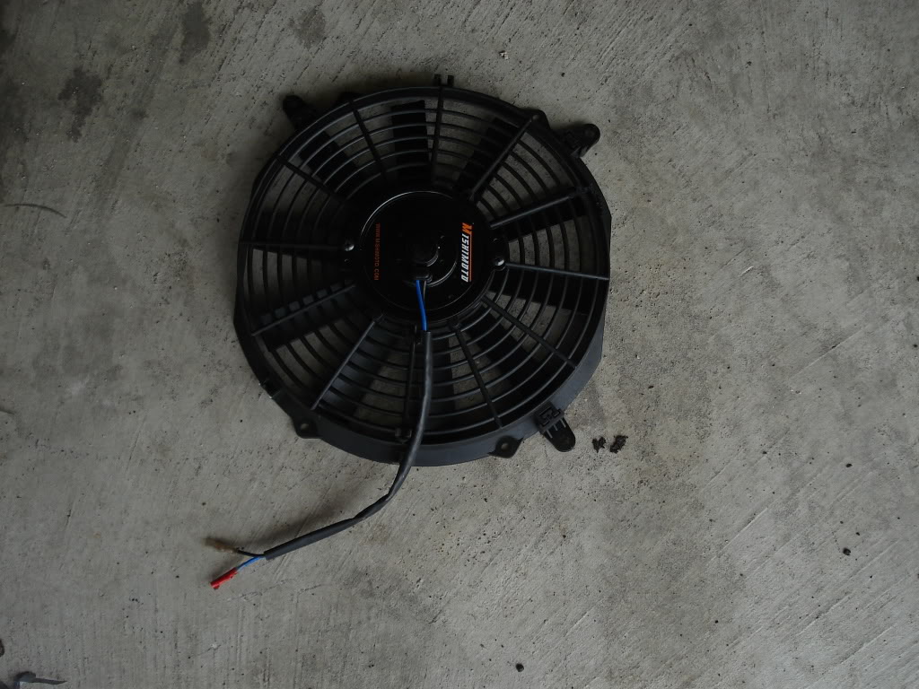 Name:  DSC01986.jpg
Views: 43
Size:  165.0 KB