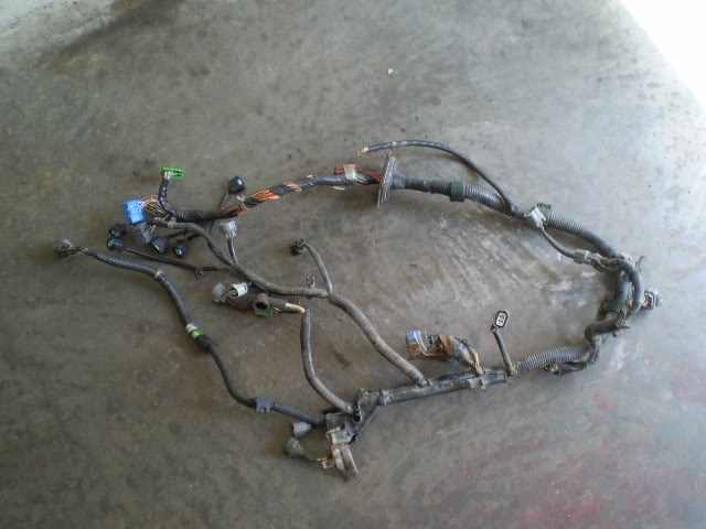 Name:  P5162076.jpg
Views: 86
Size:  44.5 KB