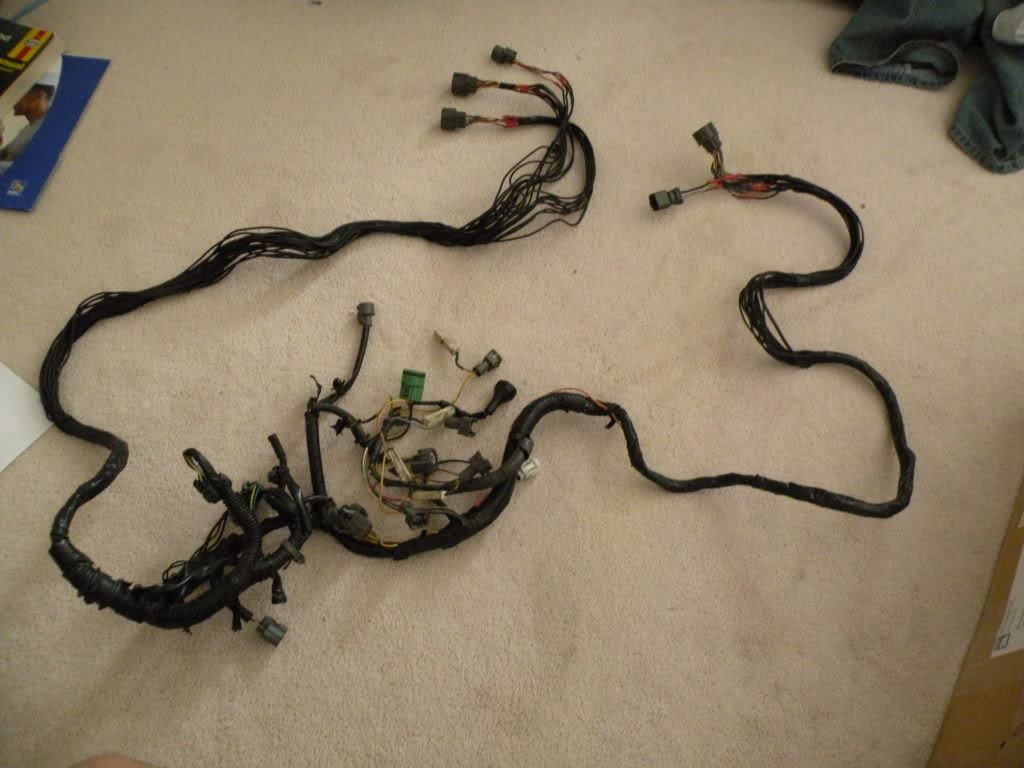 Name:  DSCN0229.jpg
Views: 19
Size:  113.3 KB