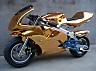 Name:  goldpocketbike.jpg
Views: 23
Size:  2.6 KB
