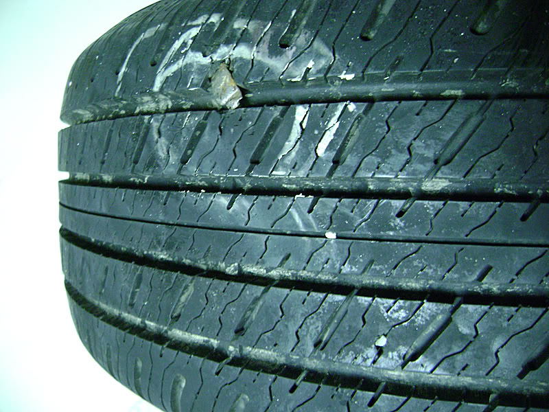 Name:  DSC02171.jpg
Views: 22
Size:  132.9 KB