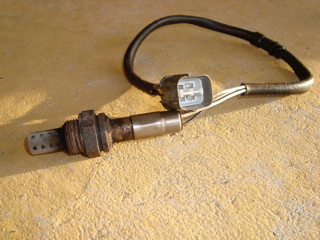 Name:  DSC00469.jpg
Views: 10
Size:  140.4 KB