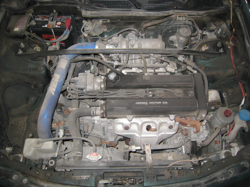 Name:  IMG_0191-1.jpg
Views: 13
Size:  177.6 KB