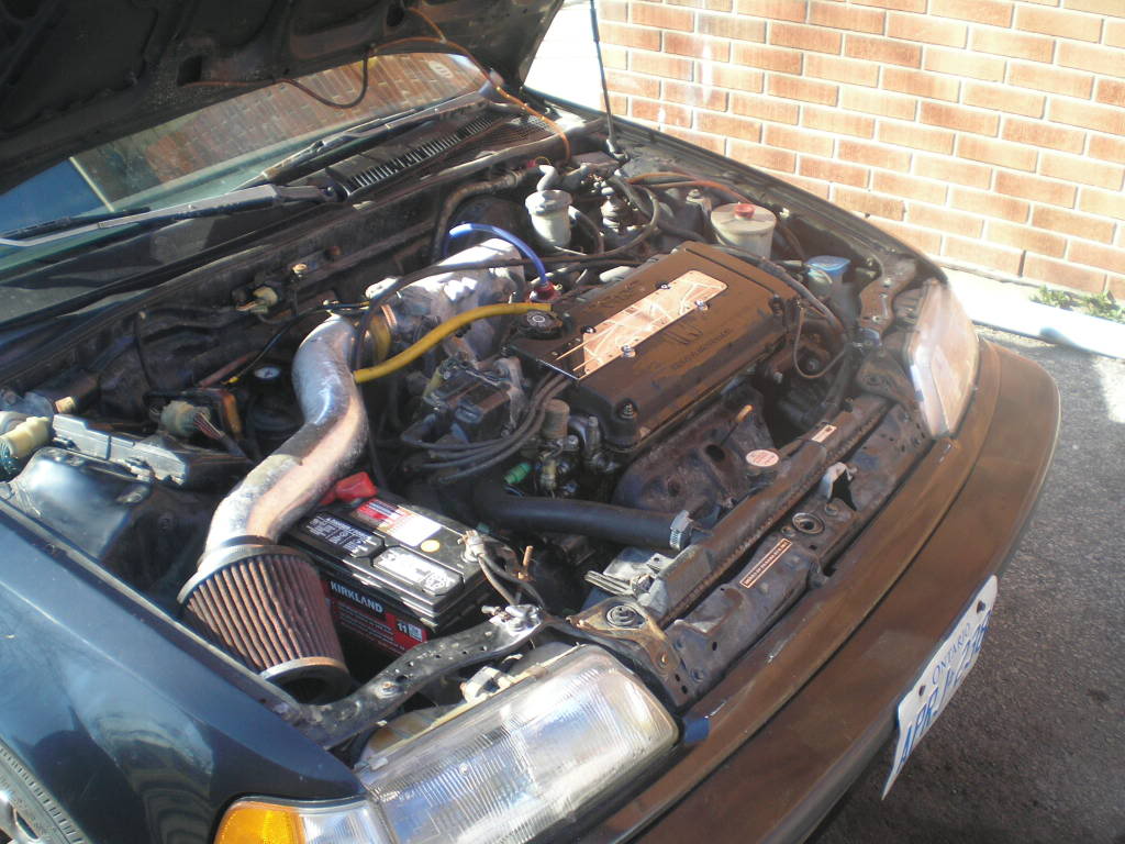 Name: blsckef001.jpg
Views: 14
Size: 123.3 KB