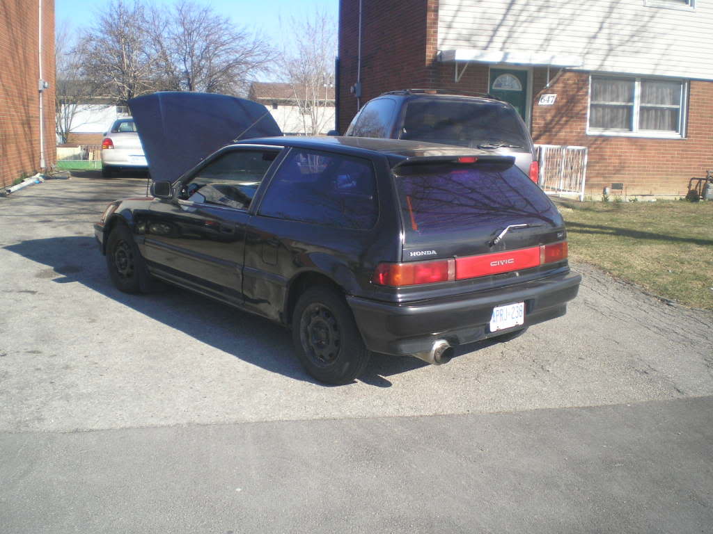 Name:  blsckef004.jpg
Views: 16
Size:  98.9 KB