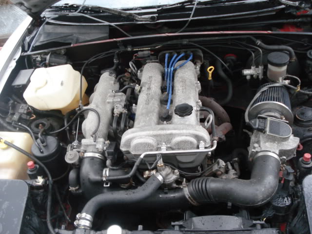 Name:  DSC04376.jpg
Views: 24
Size:  66.3 KB