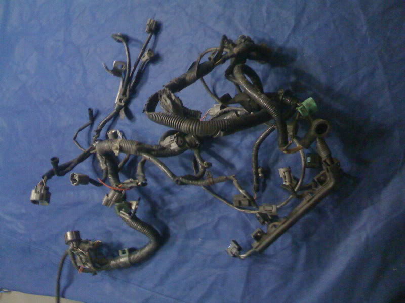 Name: Picture016.jpg
Views: 20
Size: 60.3 KB