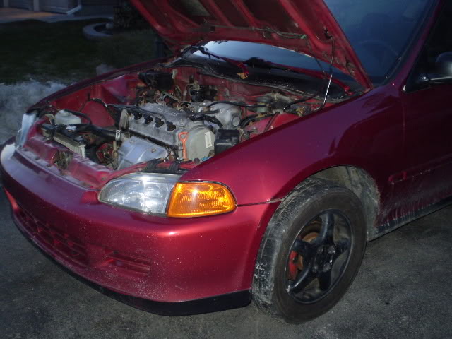 Name:  PC161913.jpg
Views: 17
Size:  57.7 KB