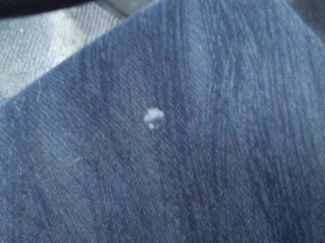 Name: PB261768.jpg
Views: 12
Size: 60.7 KB