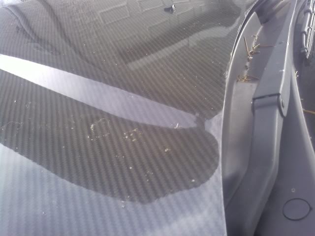 Name:  SSPX0189.jpg
Views: 9
Size:  31.5 KB