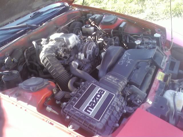 Name: SSPX0180.jpg
Views: 22
Size: 64.1 KB