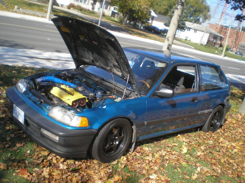 Name:  GSR012.jpg
Views: 17
Size:  216.7 KB