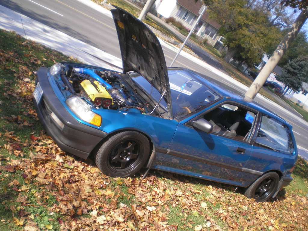 Name:  GSR016.jpg
Views: 17
Size:  234.0 KB