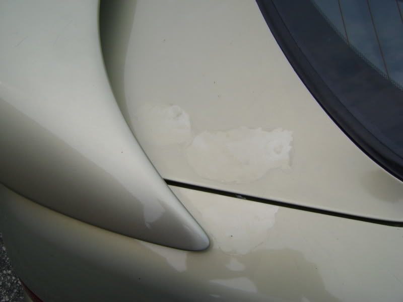 Name: DSC00104.jpg
Views: 15
Size: 41.6 KB