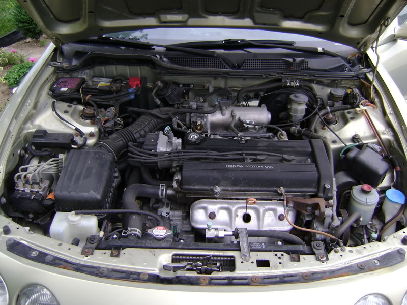 Name: DSC00106.jpg
Views: 15
Size: 124.5 KB