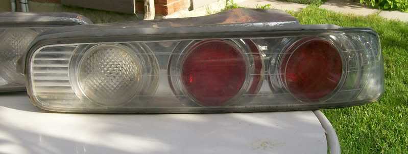 Name:  tail_closeup.jpg
Views: 16
Size:  25.0 KB