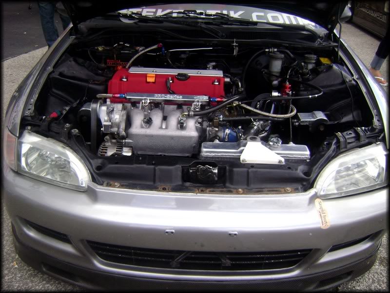 Name:  DSC00851.jpg
Views: 21
Size:  90.4 KB