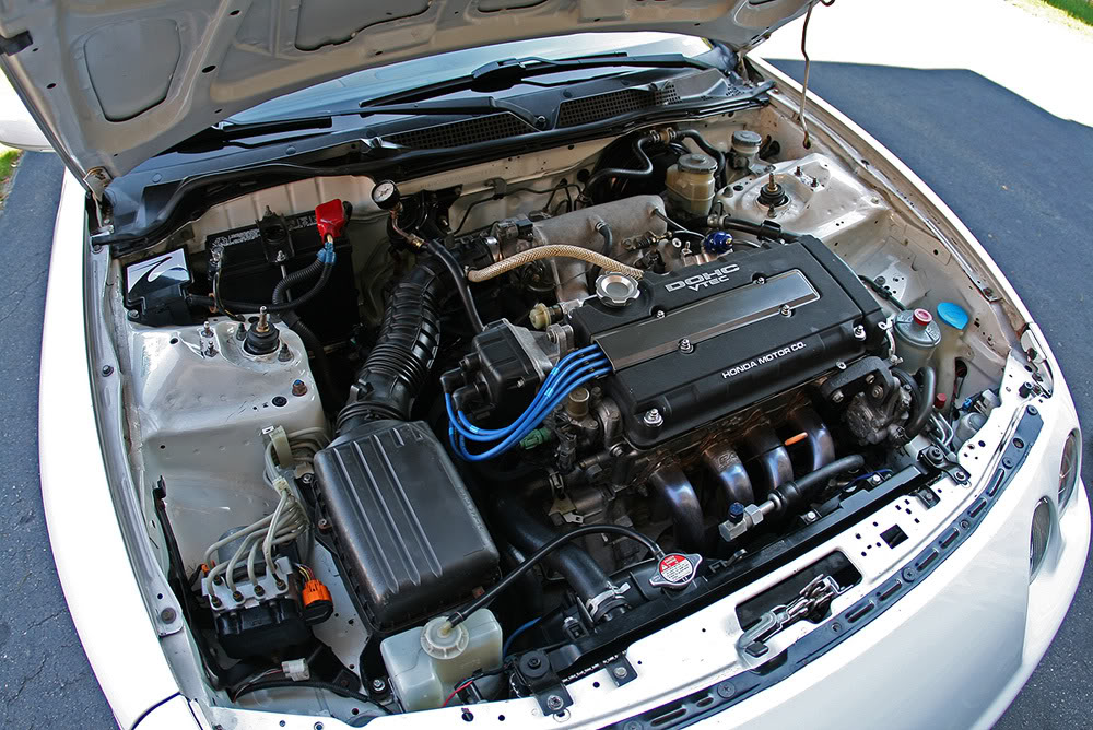 Name:  IMG_5499copy.jpg
Views: 17
Size:  200.1 KB