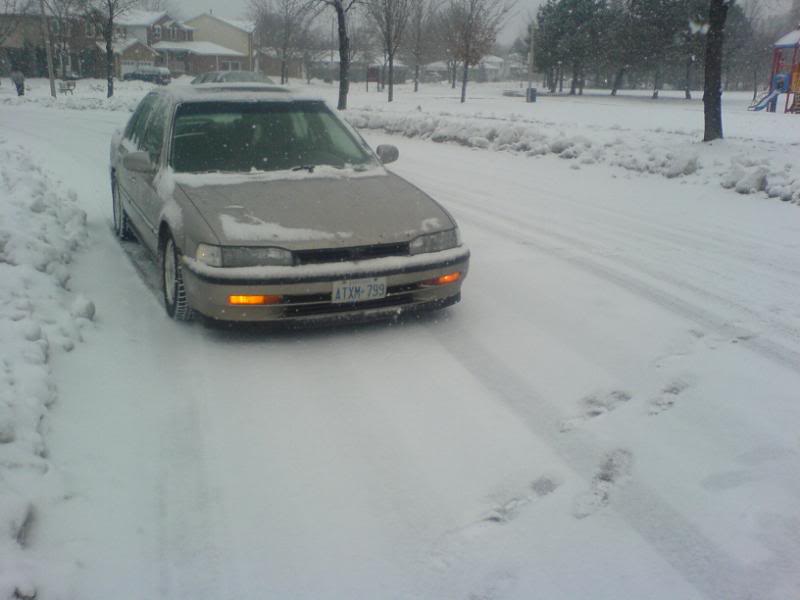 Name:  DSC00179.jpg
Views: 45
Size:  37.4 KB