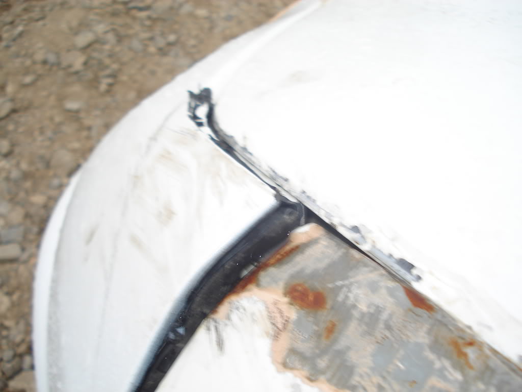 Name:  DSC01049.jpg
Views: 17
Size:  54.0 KB