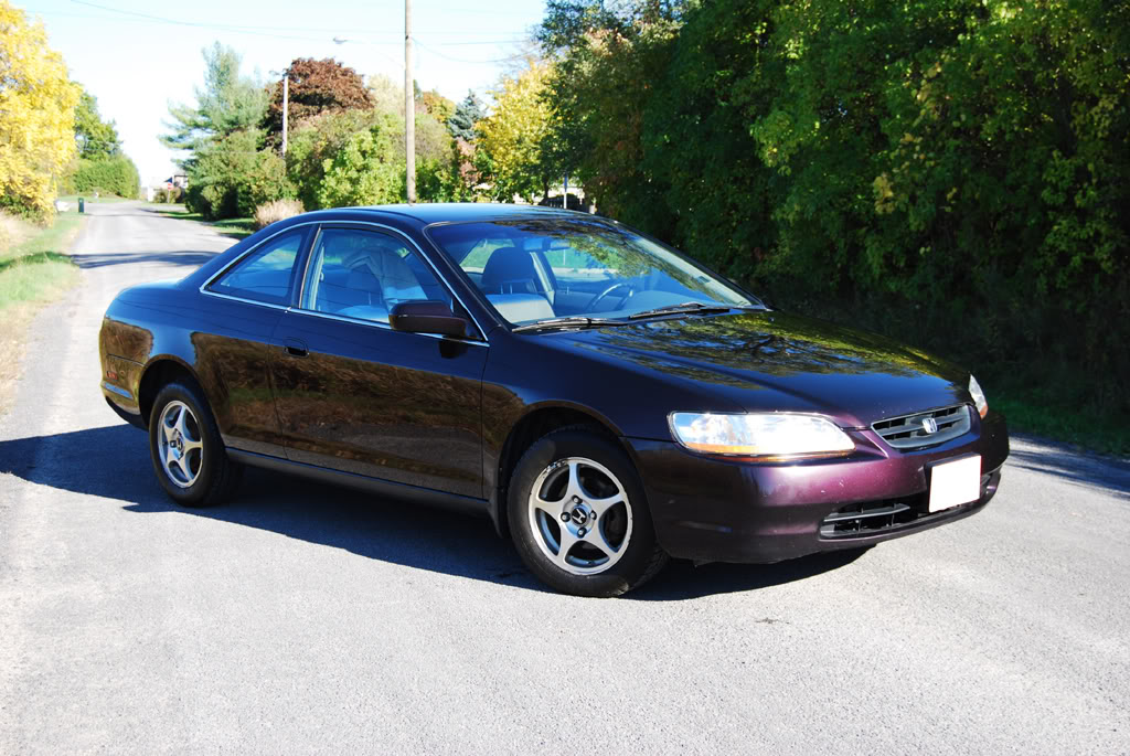 Name: cordian1.jpg
Views: 71
Size: 199.8 KB