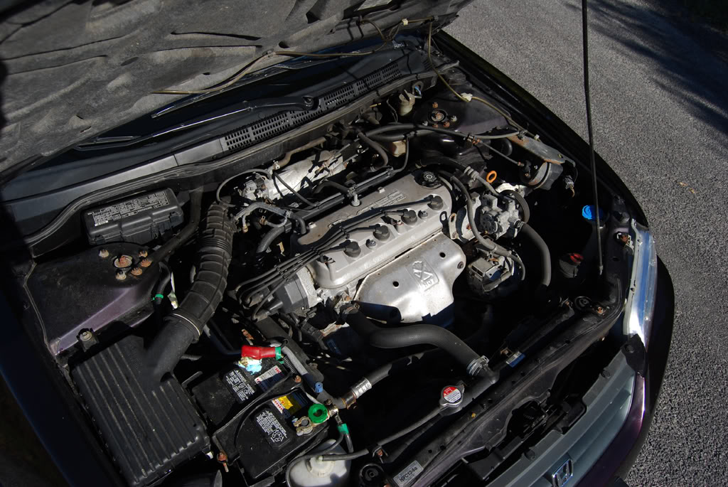 Name:  cordian4.jpg
Views: 56
Size:  197.4 KB