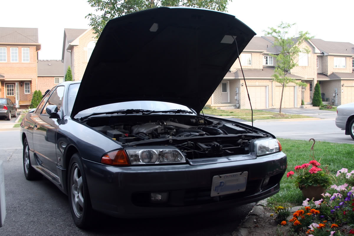 Name:  Picture33711.jpg
Views: 45
Size:  167.6 KB