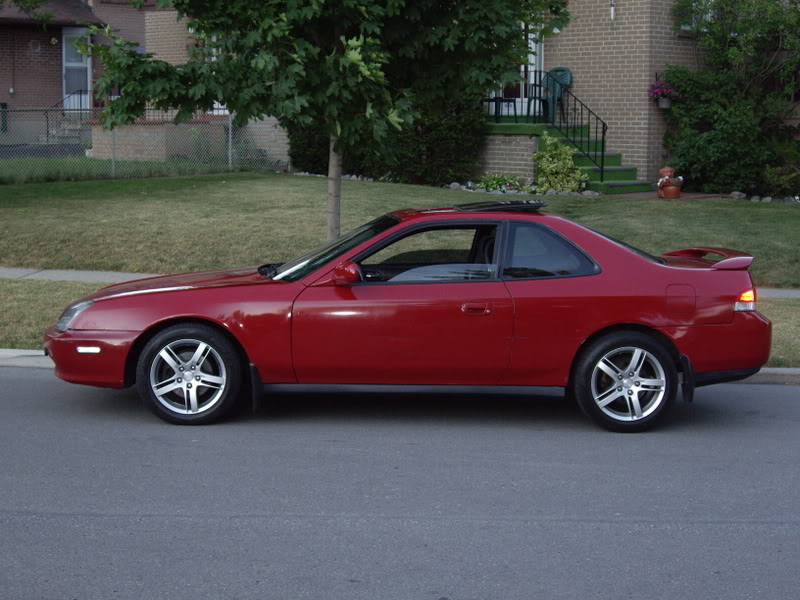 Name:  IMGP0495.jpg
Views: 26
Size:  113.4 KB