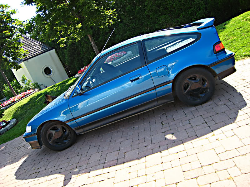 Name:  IMG_0376a.jpg
Views: 30
Size:  165.8 KB