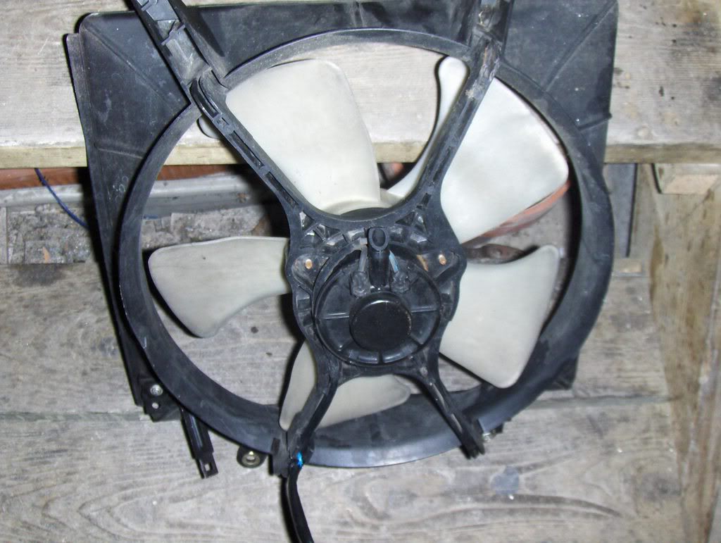 Name:  radfan.jpg
Views: 35
Size:  105.9 KB