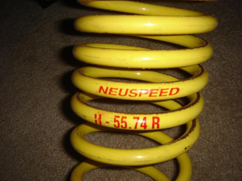 Name: springs1.jpg
Views: 19
Size: 57.1 KB