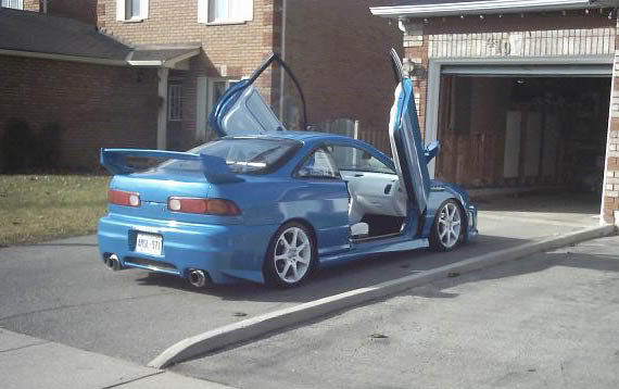 Name:  fallpic3_edited.jpg
Views: 24
Size:  35.1 KB