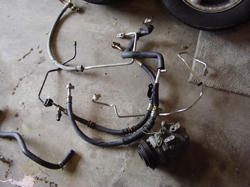 Name:  P3300024.jpg
Views: 17
Size:  92.6 KB