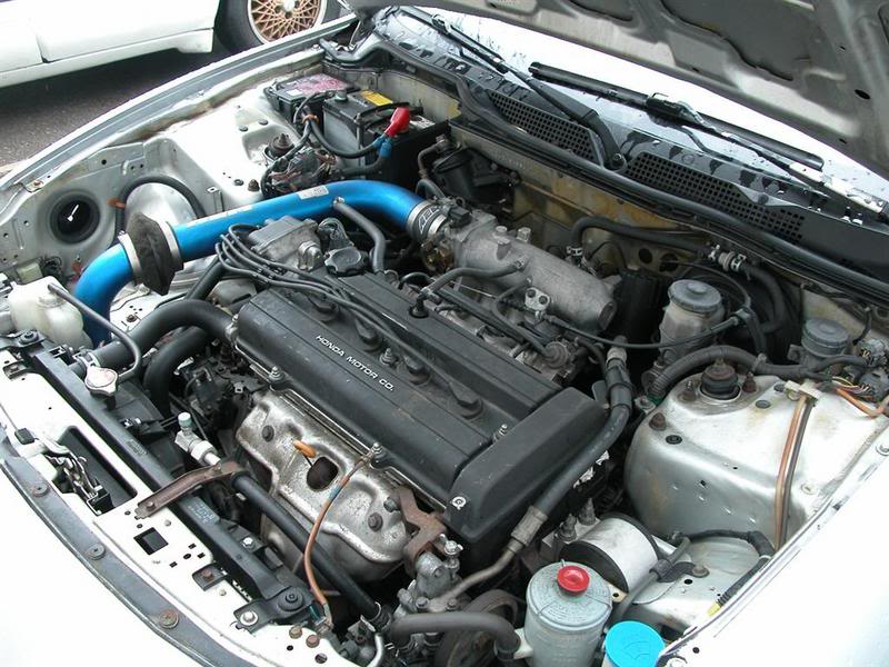 Name:  DSCN4981Large.jpg
Views: 14
Size:  98.2 KB